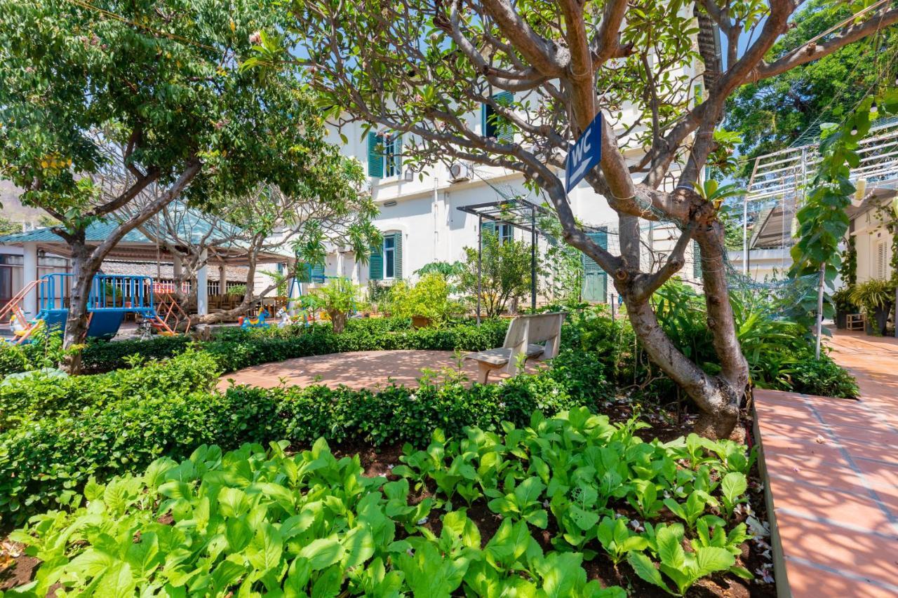Dc House - Mini Resort Vung Tau Vũng Tàu Eksteriør billede